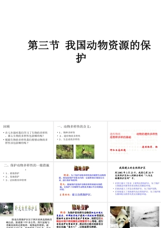 八年级生物上册 17.3 我国动物资源的保护课件 北师大版