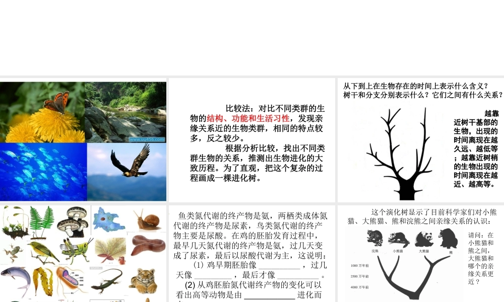 八年级生物上册 12.2 生物的进化教学课件 （新版）北京版-北京版初中八年级上册生物课件