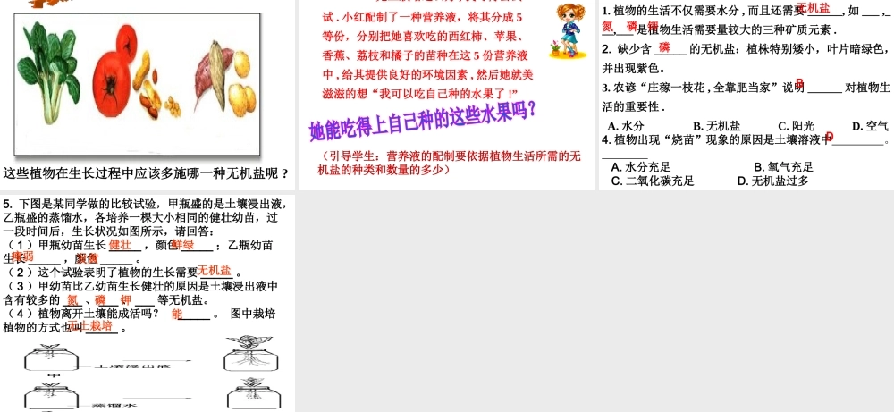 八年级生物上册 4.1.5《根的结构与功能》课件3 （新版）济南版-（新版）济南版初中八年级上册生物课件