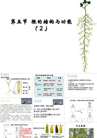 八年级生物上册 4.1.5《根的结构与功能》课件3 （新版）济南版-（新版）济南版初中八年级上册生物课件