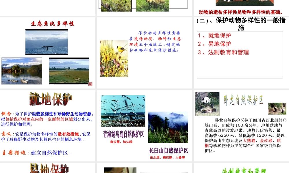 八年级生物上册 17.3我国动物资源的保护课件 北师大版