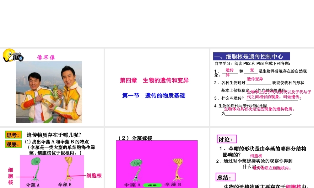 八年级生物上册 4.4.1《遗传的物质基础》课件 （新版）济南版-（新版）济南级上册生物课件