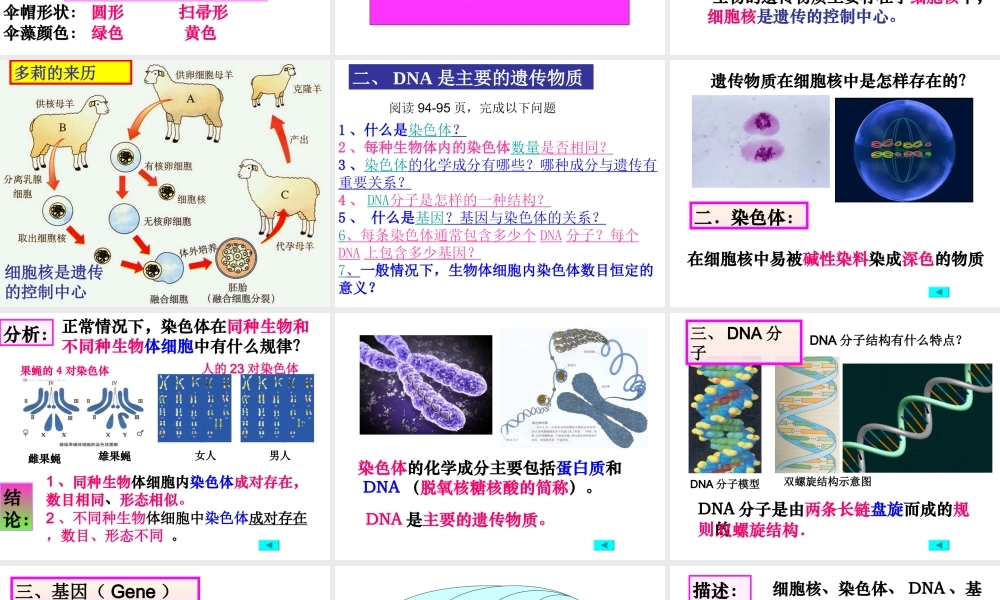 八年级生物上册 4.4.1《遗传的物质基础》课件 （新版）济南版-（新版）济南级上册生物课件