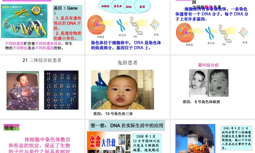 八年级生物上册 4.4.1《遗传的物质基础》课件 （新版）济南版-（新版）济南级上册生物课件