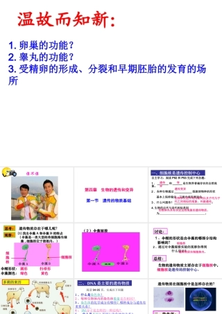 八年级生物上册 4.4.1《遗传的物质基础》课件 （新版）济南版-（新版）济南级上册生物课件