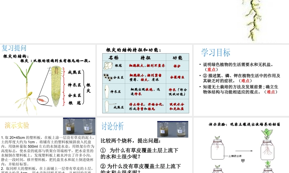 八年级生物上册 4.1.5《根的结构与功能》课件3 （新版）济南版-（新版）济南级上册生物课件