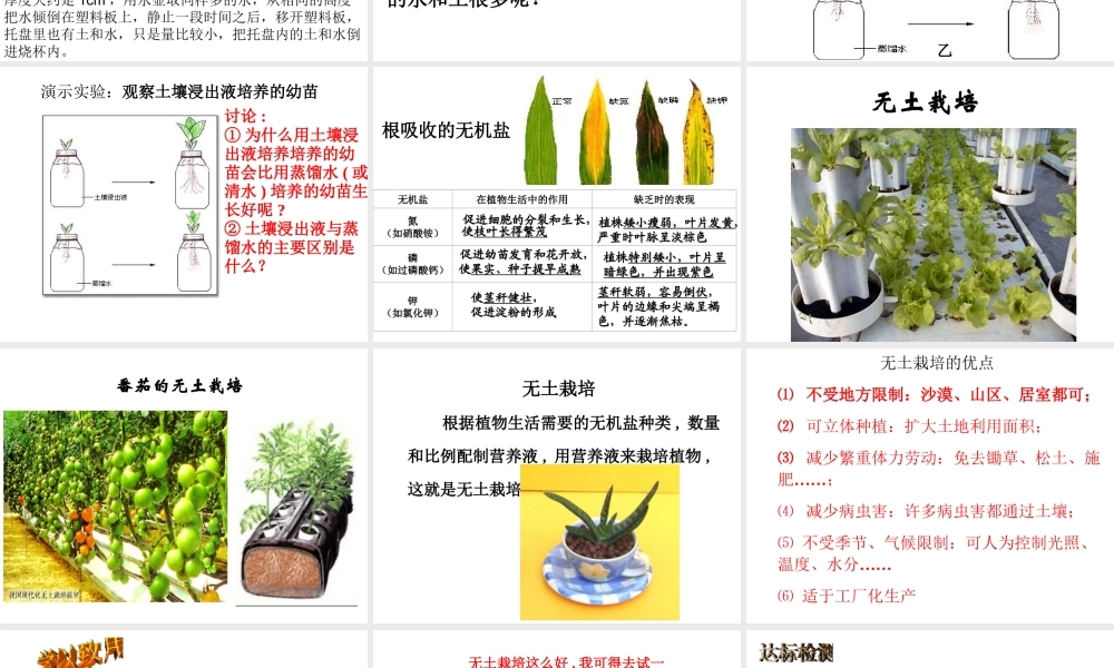 八年级生物上册 4.1.5《根的结构与功能》课件3 （新版）济南版-（新版）济南级上册生物课件