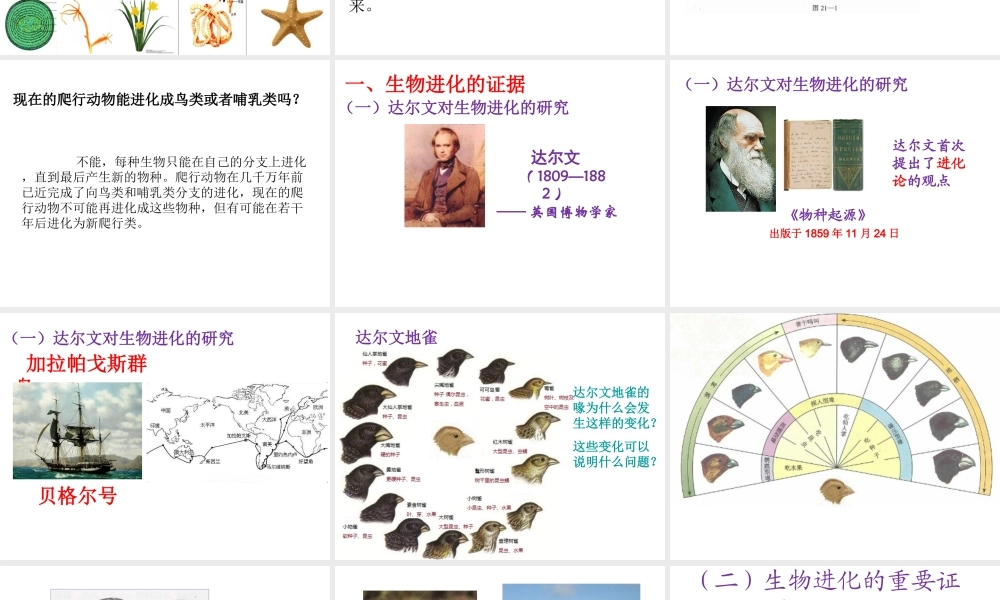 八年级生物上册 12.2 生物的进化教学课件 （新版）北京版-北京级上册生物课件