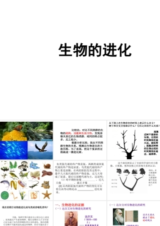 八年级生物上册 12.2 生物的进化教学课件 （新版）北京版-北京级上册生物课件