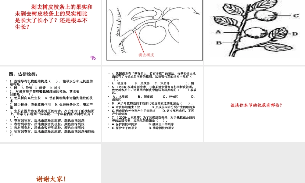 八年级生物上册 4.1.6 芽的类型和结构课件 济南版