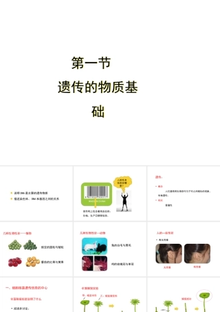 八年级生物上册 4.4.1《遗传的物质基础》课件1 （新版）济南版-（新版）济南版初中八年级上册生物课件