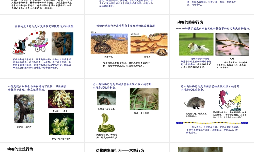 八年级生物上册 18.1 动物行为的主要类型课件 （新版）苏教版-（新版）苏教版初中八年级上册生物课件