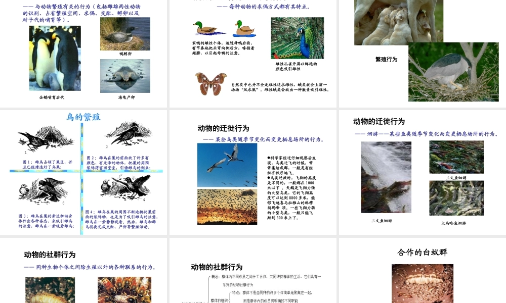 八年级生物上册 18.1 动物行为的主要类型课件 （新版）苏教版-（新版）苏教版初中八年级上册生物课件