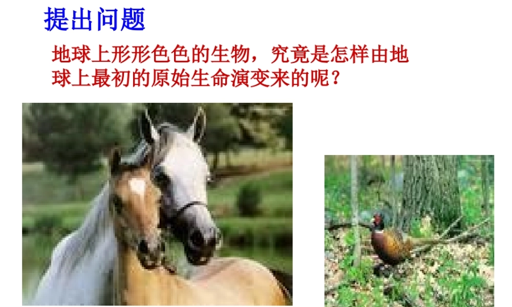 八年级生物上册 12.3 生物的起源与进化教学课件 （新版）北京版-北京版初中八年级上册生物课件