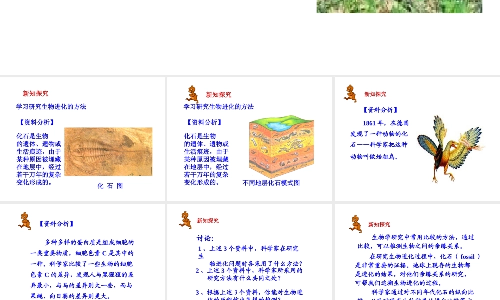 八年级生物上册 12.3 生物的起源与进化教学课件 （新版）北京版-北京版初中八年级上册生物课件