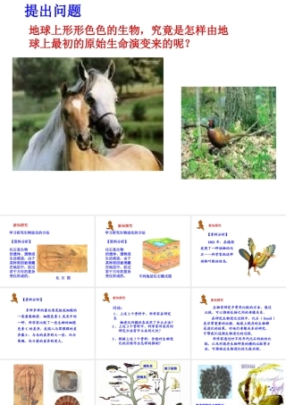 八年级生物上册 12.3 生物的起源与进化教学课件 （新版）北京版-北京版初中八年级上册生物课件