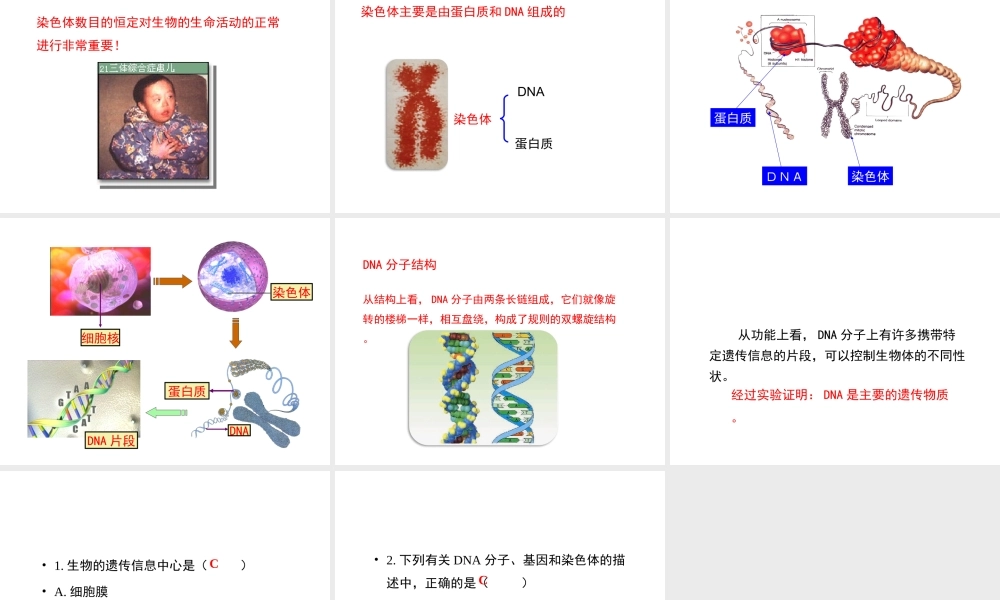 八年级生物上册 4.4.1《遗传的物质基础》课件1 （新版）济南版-（新版）济南级上册生物课件