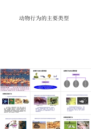 八年级生物上册 18.1 动物行为的主要类型课件 （新版）苏教版-（新版）苏教级上册生物课件