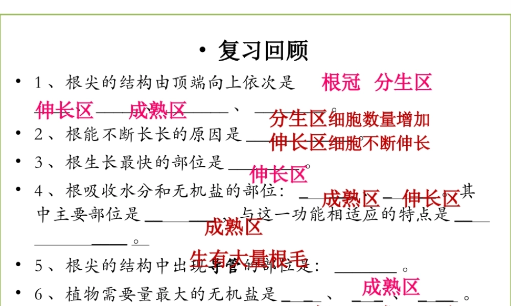 八年级生物上册 4.1.6《芽的类型和发育》课件 （新版）济南版-（新版）济南级上册生物课件