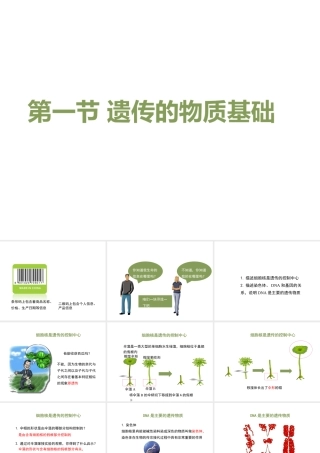 八年级生物上册 4.4.1《遗传的物质基础》课件2 （新版）济南版-（新版）济南版初中八年级上册生物课件