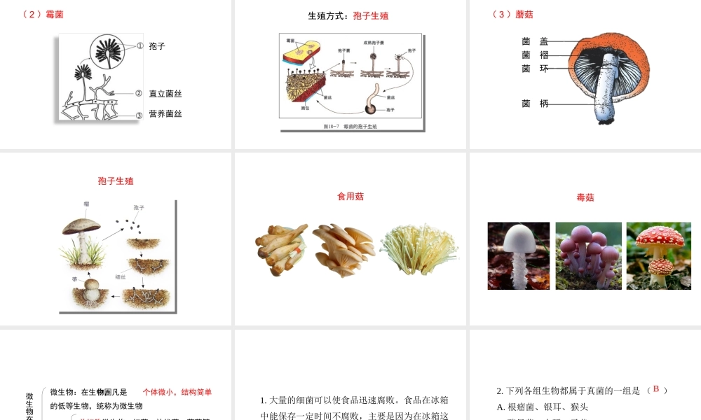 八年级生物上册 18.1 微生物在生物圈中的作用（第1课时）课件（1）（新版）北师大版-（新版）北师大版初中八年级上册生物课件
