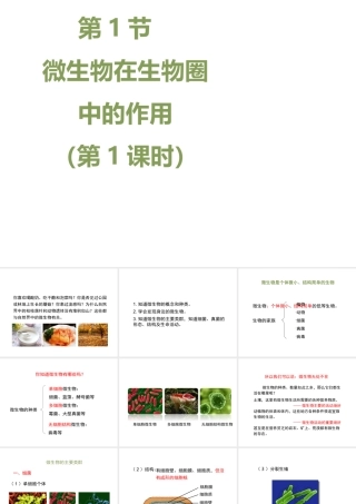八年级生物上册 18.1 微生物在生物圈中的作用（第1课时）课件（1）（新版）北师大版-（新版）北师大版初中八年级上册生物课件