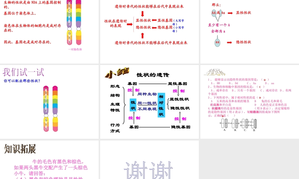 八年级生物上册 13.1 生物性状的遗传（第一课时）课件 北京课改版