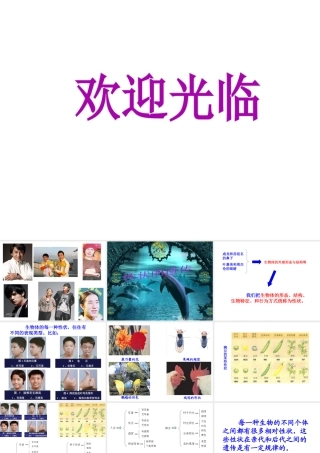 八年级生物上册 13.1 生物性状的遗传（第一课时）课件 北京课改版