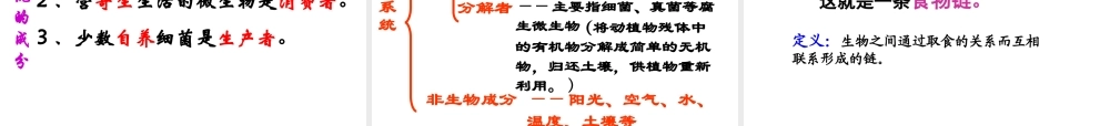 八年级生物上册 19.1 生态系统的组成课件 苏教版-苏教版初中八年级上册生物课件