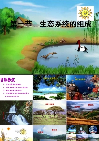 八年级生物上册 19.1 生态系统的组成课件 苏教版-苏教版初中八年级上册生物课件