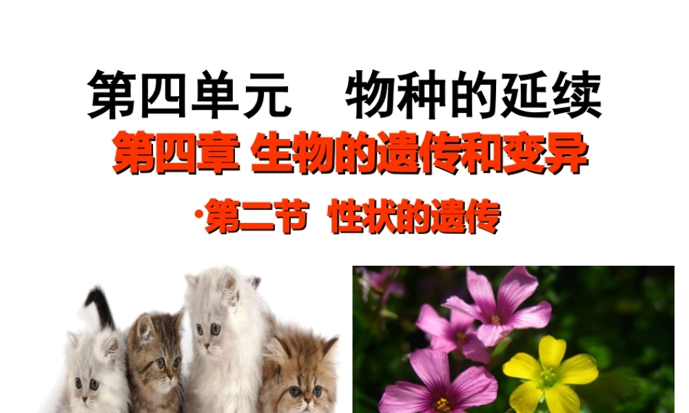 八年级生物上册 4.4.2 性状的遗传课件 （新版）济南版-（新版）济南版初中八年级上册生物课件