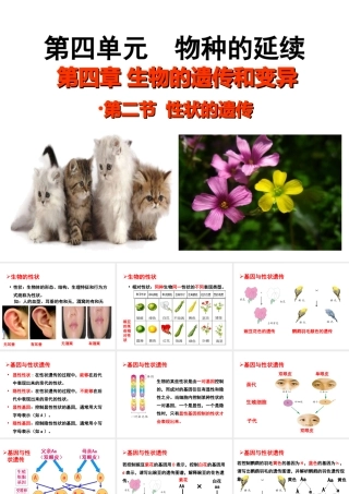 八年级生物上册 4.4.2 性状的遗传课件 （新版）济南版-（新版）济南版初中八年级上册生物课件