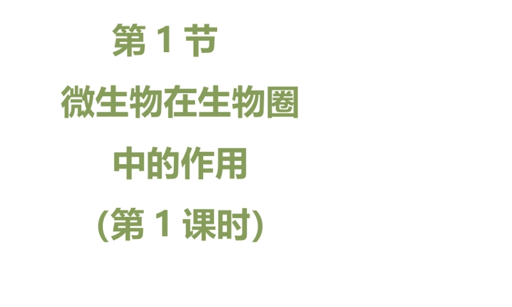 八年级生物上册 18.1 微生物在生物圈中的作用（第1课时）课件（1）（新版）北师大版-（新版）北师大级上册生物课件