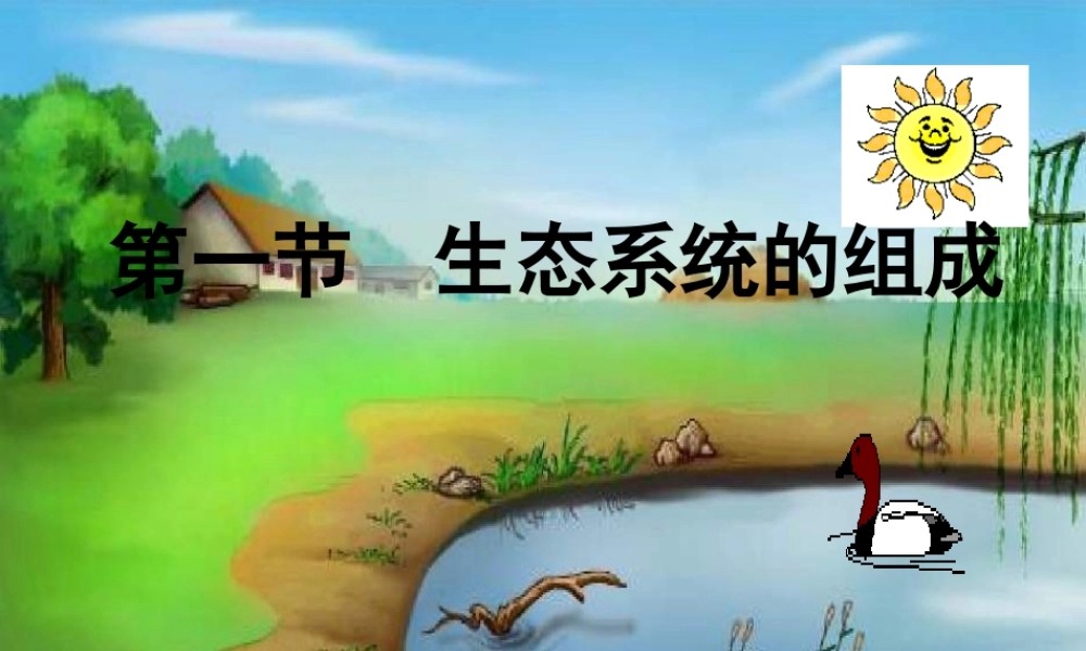 八年级生物上册 19.1 生态系统的组成课件 苏教版-苏教级上册生物课件