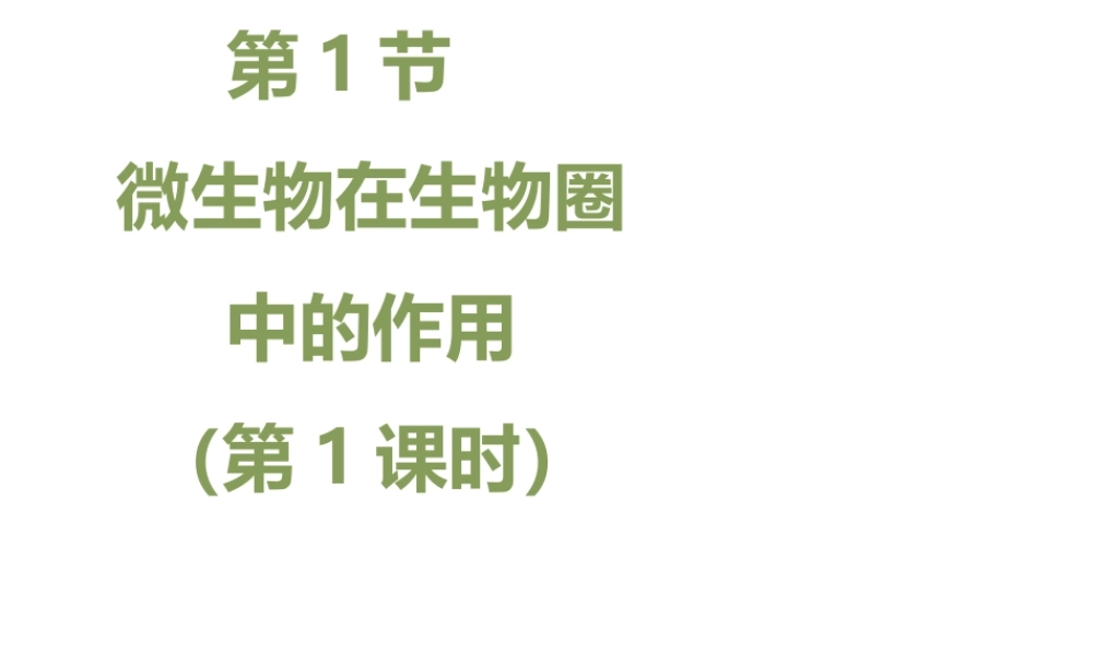 八年级生物上册 18.1 微生物在生物圈中的作用（第1课时）课件（2）（新版）北师大版-（新版）北师大级上册生物课件