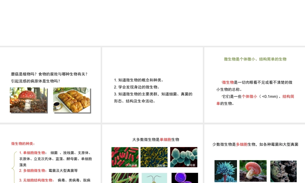 八年级生物上册 18.1 微生物在生物圈中的作用（第1课时）课件（2）（新版）北师大版-（新版）北师大级上册生物课件