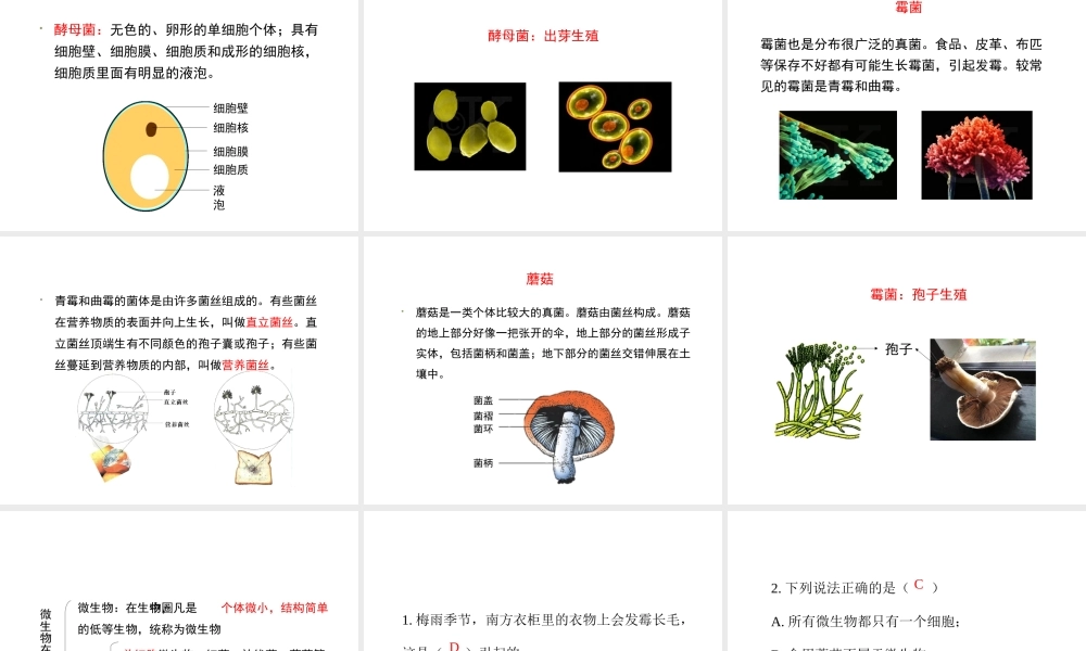 八年级生物上册 18.1 微生物在生物圈中的作用（第1课时）课件（2）（新版）北师大版-（新版）北师大级上册生物课件
