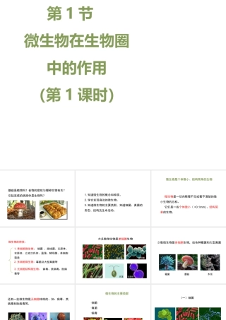八年级生物上册 18.1 微生物在生物圈中的作用（第1课时）课件（2）（新版）北师大版-（新版）北师大级上册生物课件
