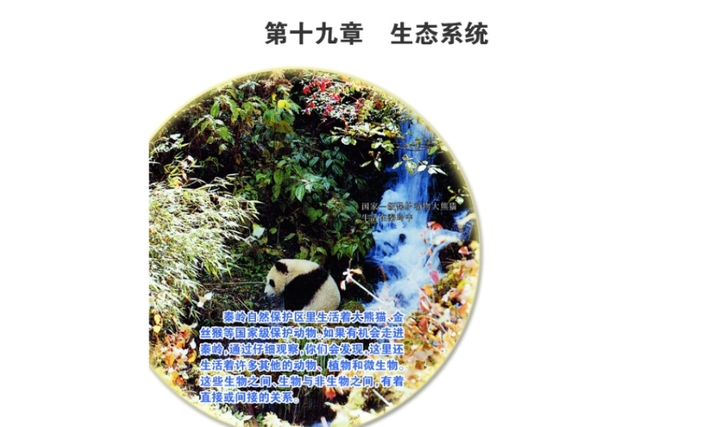 八年级生物上册 19.1 生态系统的组成课件（1）（新版）苏教版-（新版）苏教版初中八年级上册生物课件