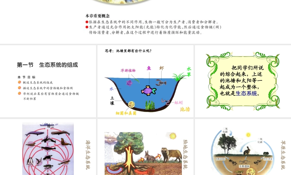 八年级生物上册 19.1 生态系统的组成课件（1）（新版）苏教版-（新版）苏教版初中八年级上册生物课件