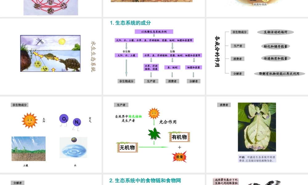 八年级生物上册 19.1 生态系统的组成课件（1）（新版）苏教版-（新版）苏教版初中八年级上册生物课件