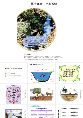 八年级生物上册 19.1 生态系统的组成课件（1）（新版）苏教版-（新版）苏教版初中八年级上册生物课件