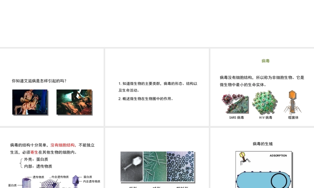 八年级生物上册 18.1 微生物在生物圈中的作用（第2课时）课件（1）（新版）北师大版-（新版）北师大版初中八年级上册生物课件