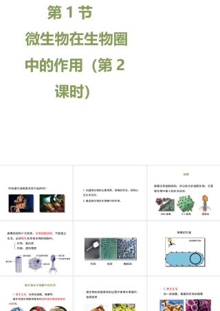 八年级生物上册 18.1 微生物在生物圈中的作用（第2课时）课件（1）（新版）北师大版-（新版）北师大版初中八年级上册生物课件