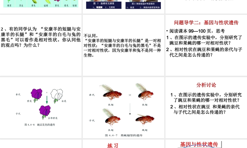 八年级生物上册 4.4.2 性状的遗传课件（2）（新版）济南版-（新版）济南版初中八年级上册生物课件