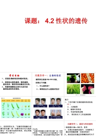 八年级生物上册 4.4.2 性状的遗传课件（2）（新版）济南版-（新版）济南版初中八年级上册生物课件