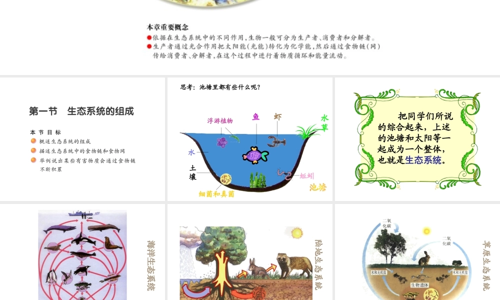 八年级生物上册 19.1 生态系统的组成课件（1）（新版）苏教版-（新版）苏教级上册生物课件