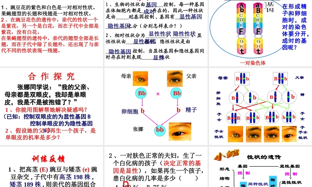 八年级生物上册 4.4.2 性状的遗传课件（2）（新版）济南版-（新版）济南级上册生物课件