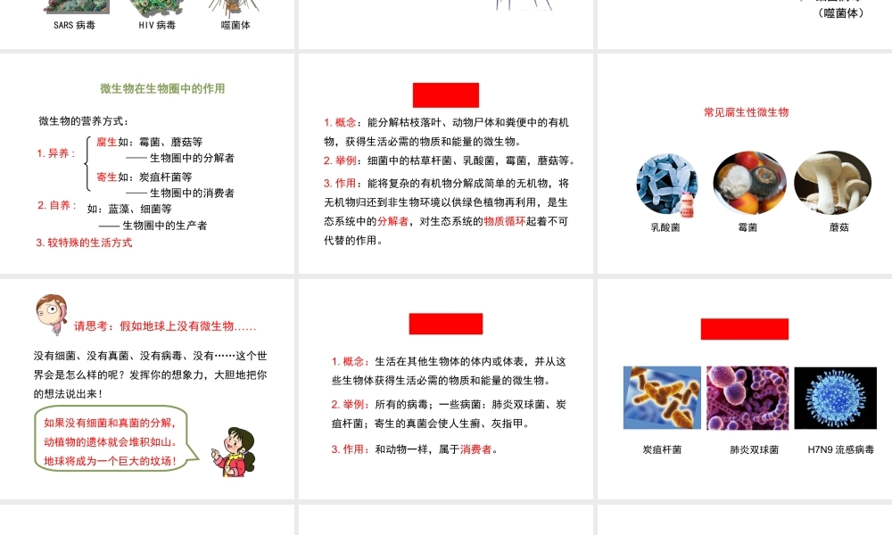 八年级生物上册 18.1 微生物在生物圈中的作用（第2课时）课件（2）（新版）北师大版-（新版）北师大版初中八年级上册生物课件