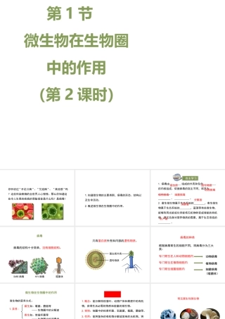 八年级生物上册 18.1 微生物在生物圈中的作用（第2课时）课件（2）（新版）北师大版-（新版）北师大版初中八年级上册生物课件